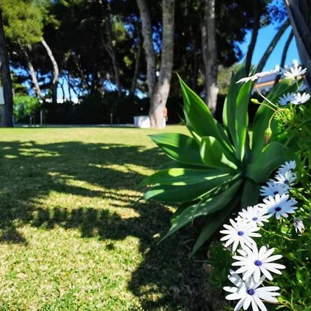¡Nuevo! Zona Tranquila Cerca De La Playa De La Carihuela Διαμέρισμα Τορρεμολίνος Εξωτερικό φωτογραφία