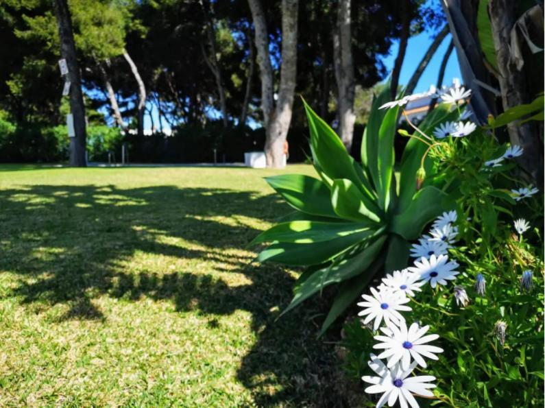 ¡Nuevo! Zona Tranquila Cerca De La Playa De La Carihuela Διαμέρισμα Τορρεμολίνος Εξωτερικό φωτογραφία